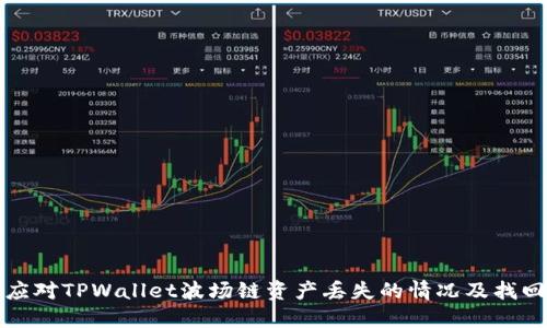如何应对TPWallet波场链资产丢失的情况及找回流程