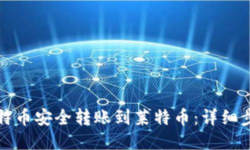 如何将比特币安全转账到莱特币:详细步骤与技巧
