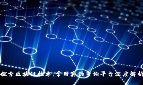探索区块链技术:常用真伪查询平台深度解析