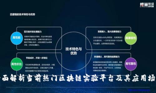 全面解析当前热门区块链实验平台及其应用场景