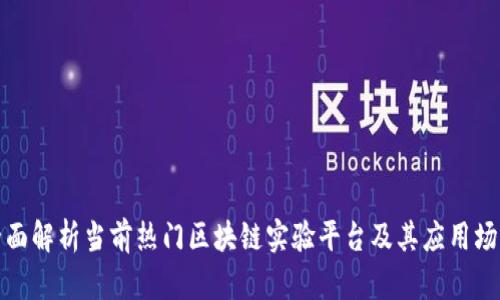 全面解析当前热门区块链实验平台及其应用场景