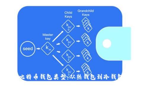 全面解析比特币钱包类型:从热钱包到冷钱包的选择指南