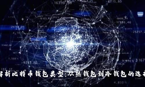 全面解析比特币钱包类型:从热钱包到冷钱包的选择指南