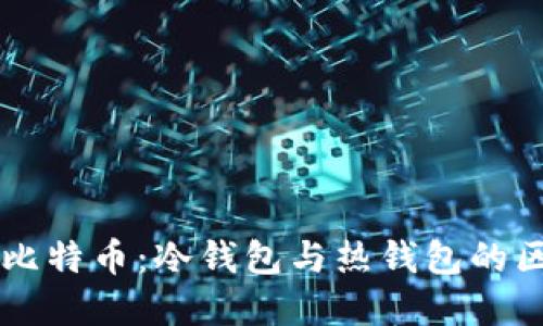 深入了解比特币：冷钱包与热钱包的区别与应用