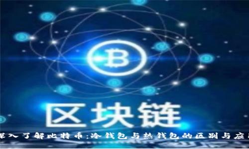 深入了解比特币：冷钱包与热钱包的区别与应用