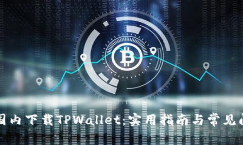 如何在国内下载TPWallet：实用指南与常见问题解答