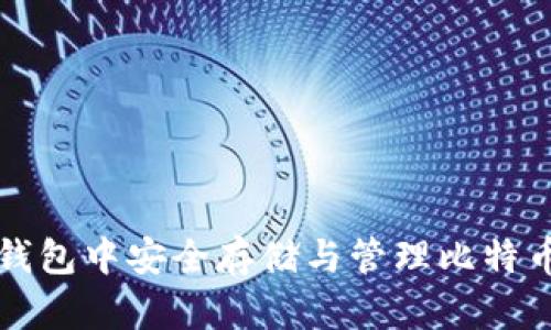 如何在苹果钱包中安全存储与管理比特币的详细指南