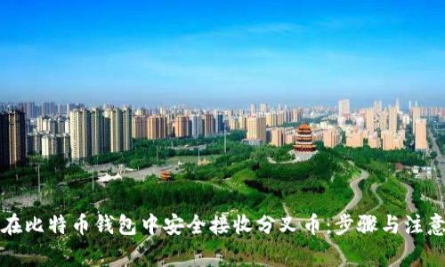 如何在比特币钱包中安全接收分叉币：步骤与注意事项