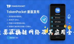 全球主要区块链网络及其