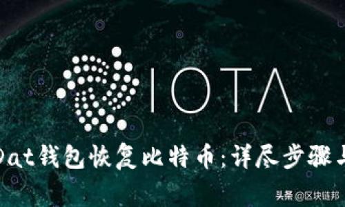 如何利用Dat钱包恢复比特币：详尽步骤与注意事项