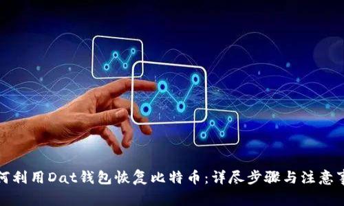 如何利用Dat钱包恢复比特币：详尽步骤与注意事项