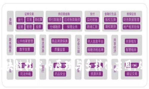 深入探索区块链技术的原理与多样化应用：从理想到现实