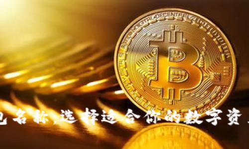 了解比特币钱包名称：选择适合你的数字资产储存解决方案