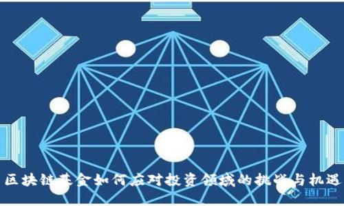 区块链基金如何应对投资领域的挑战与机遇