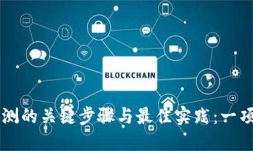 区块链内测的关键步骤与最佳实践：一项全面指南