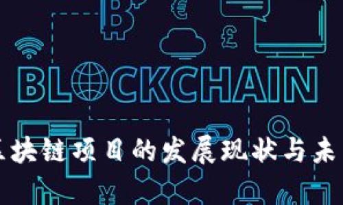 杭州城管区块链项目的发展现状与未来前景分析