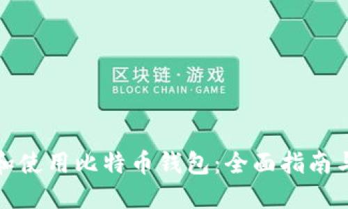 如何选择和使用比特币钱包:全面指南与实用技巧