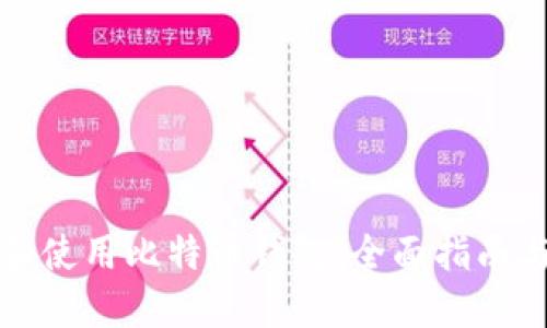 如何选择和使用比特币钱包:全面指南与实用技巧