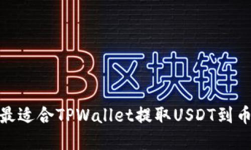 如何选择最适合TPWallet提取USDT到币安的通道