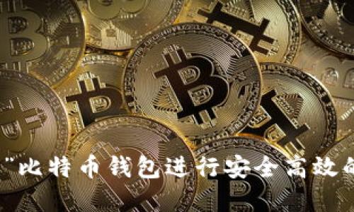 如何使用“老猫”比特币钱包进行安全高效的数字资产管理