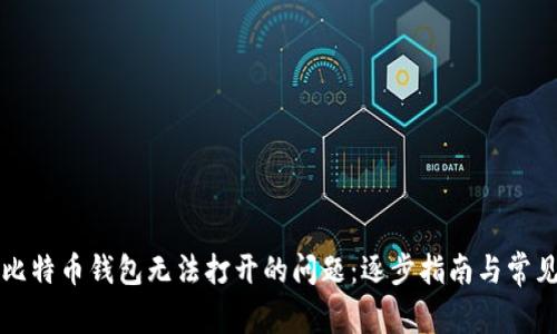 如何解决比特币钱包无法打开的问题:逐步指南与常见故障排查