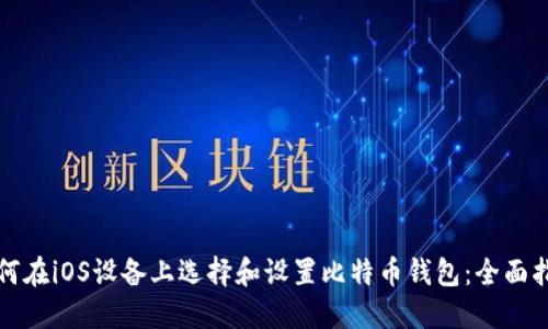 如何在iOS设备上选择和设置比特币钱包：全面指南