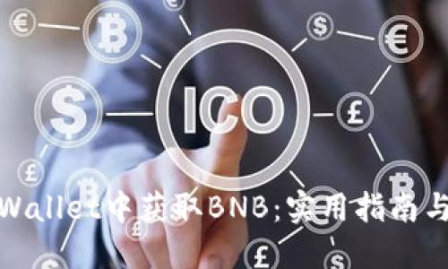 如何在TPWallet中获取BNB：实用指南与操作步骤