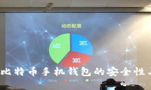 深入分析:比特币手机钱包的安全性与风险评估