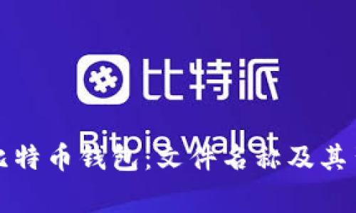 揭秘早期比特币钱包:文件名称及其背后的故事