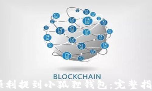 如何将USDT顺利提到小狐狸钱包:完整指南与实用技巧