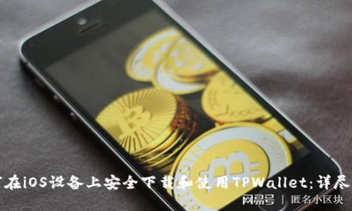 如何在iOS设备上安全下载和使用TPWallet:详尽指南
