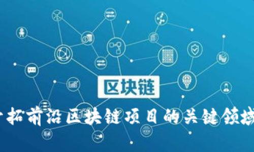深入探索:开拓前沿区块链项目的关键领域与实践案例
