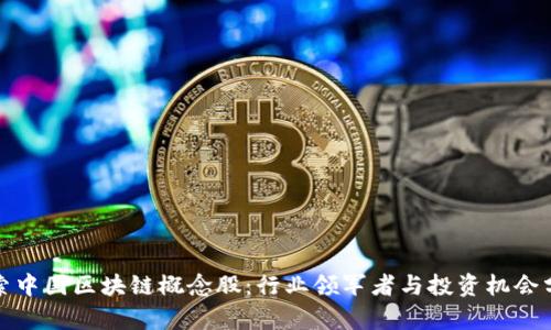 探索中国区块链概念股:行业领军者与投资机会分析