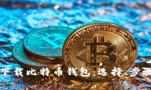 如何安全地下载比特币钱包:选择、步骤与最佳实践