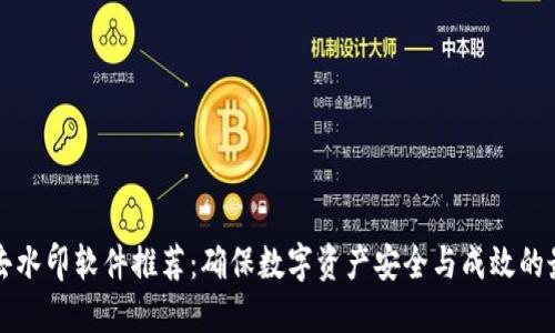 区块链去水印软件推荐:确保数字资产安全与成效的最佳工具