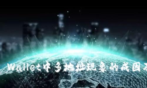 深入解析:TP Wallet中多地址现象的成因及安全性评估