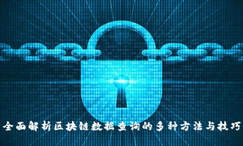 全面解析区块链数据查询的多种方法与技巧