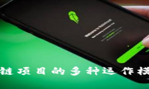 全面解析区块链项目的多种运作模式与应用实例